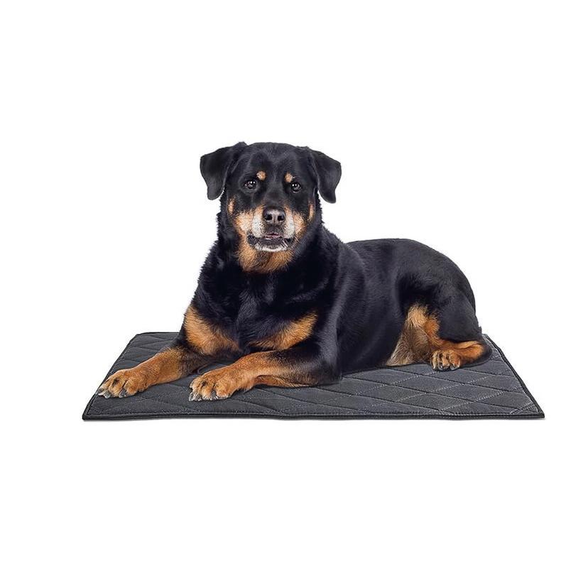 Honden Trainingsmat Duurzaam en Comfortabel 2