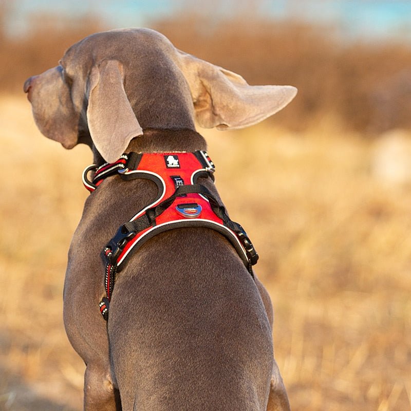 Honden Tuigje Verstelbaar met Reflecterende Details 2