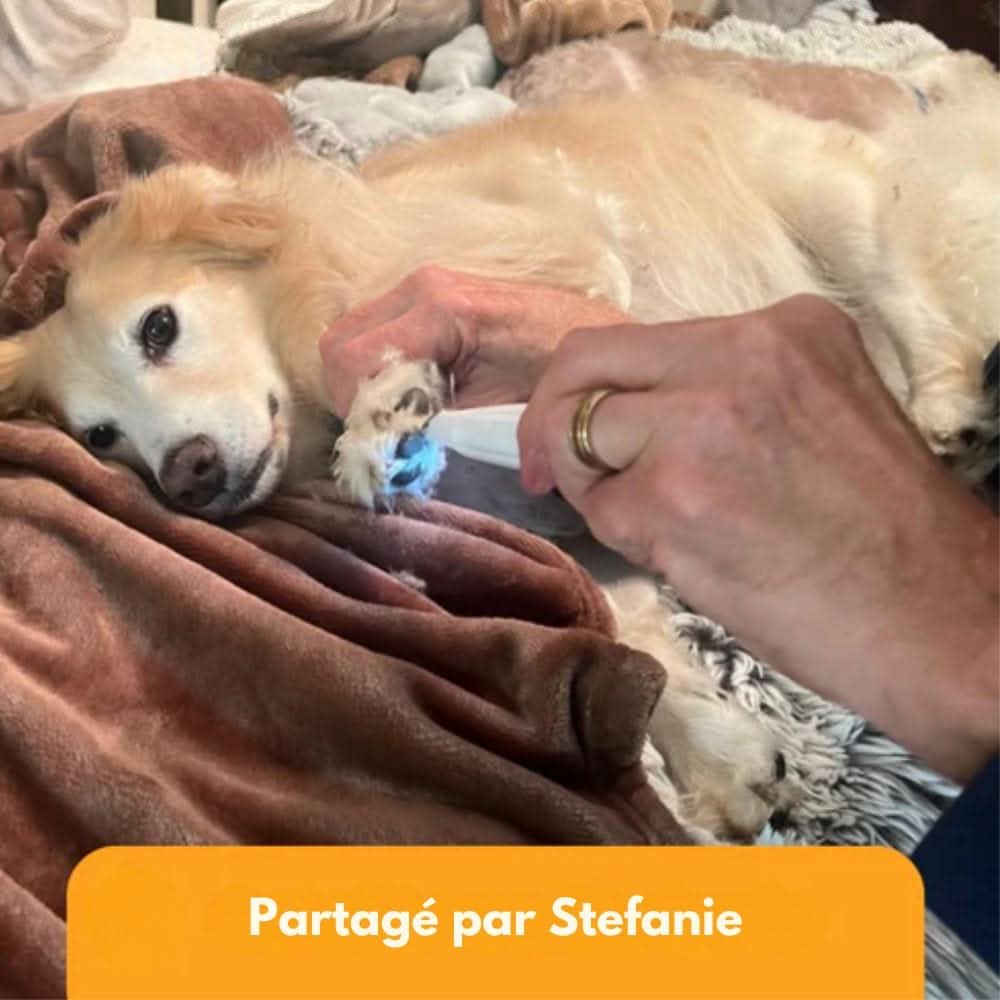Honden en Katten Trimmer voor Gevoelige Plekken 7
