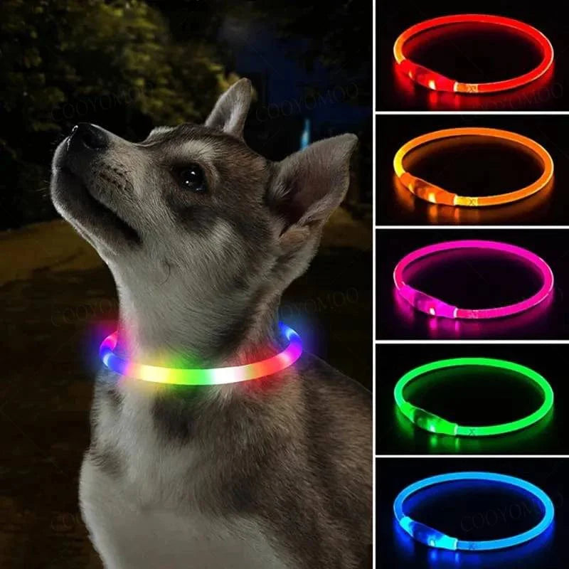 Hondenhalsband LED Lichtgevende Oplaadbaar 1
