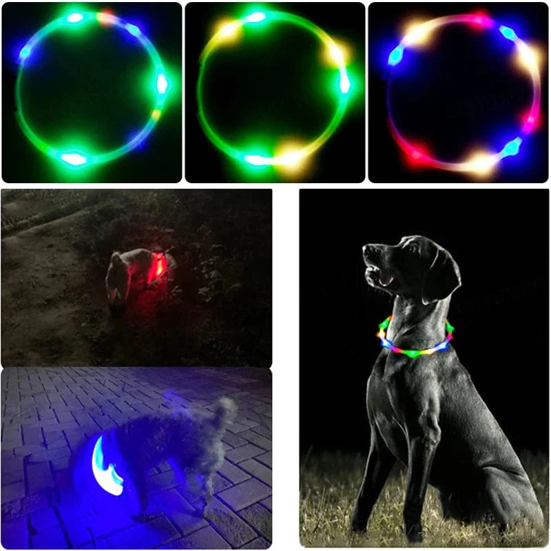 Hondenhalsband LED Lichtgevende Oplaadbaar 4