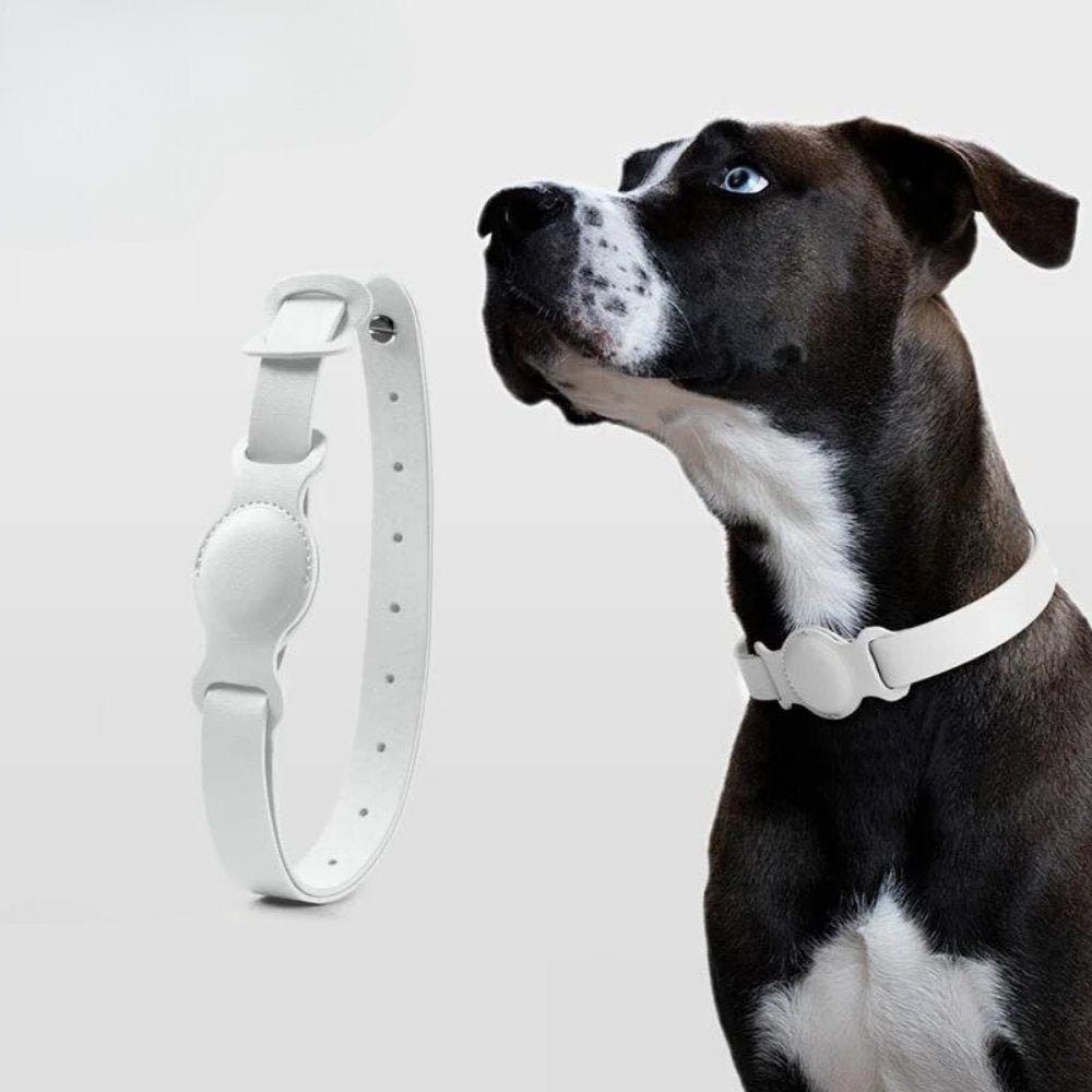 Hondenhalsband met AirTag Bevestiging 3