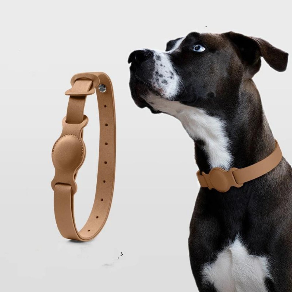 Hondenhalsband met AirTag Bevestiging 4