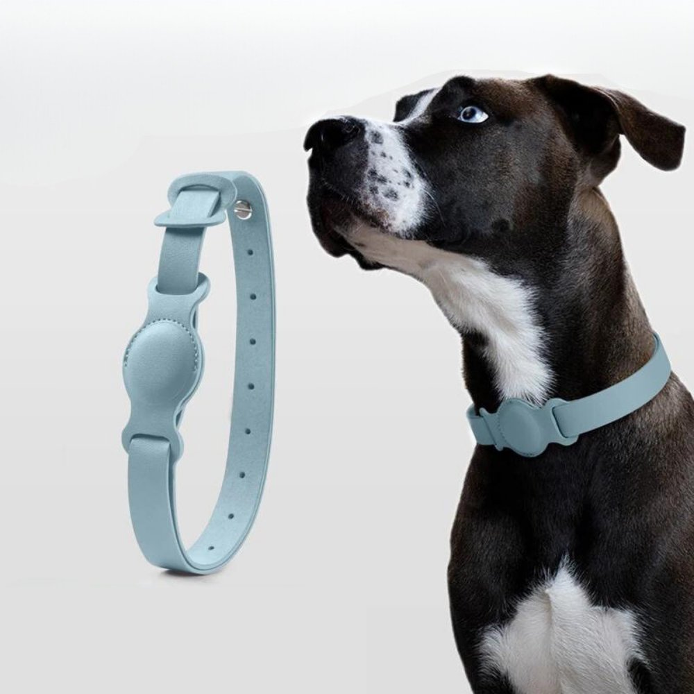 Hondenhalsband met AirTag Bevestiging 5
