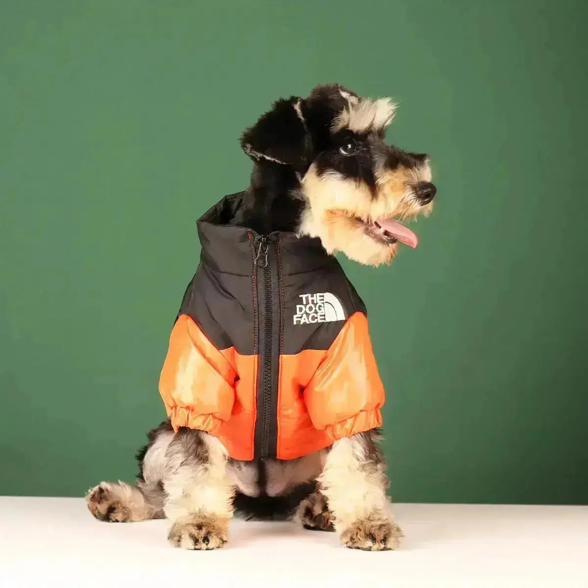 Hondenjack Winter Pufferstijl 8