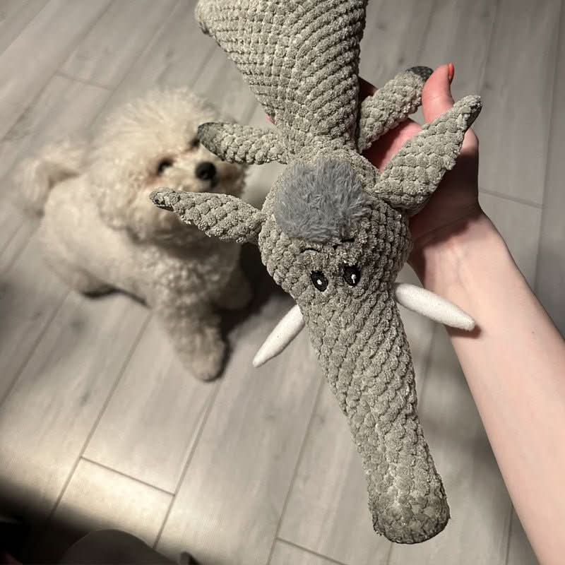 Hondenspeelgoed voor Agressieve Kauwers 4