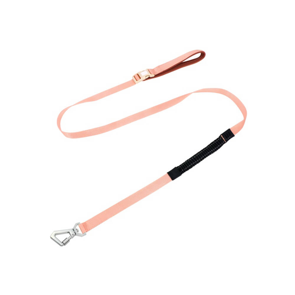 Hondentuig met Multifunctionele Riem voor Comfortabele Wandeling 14