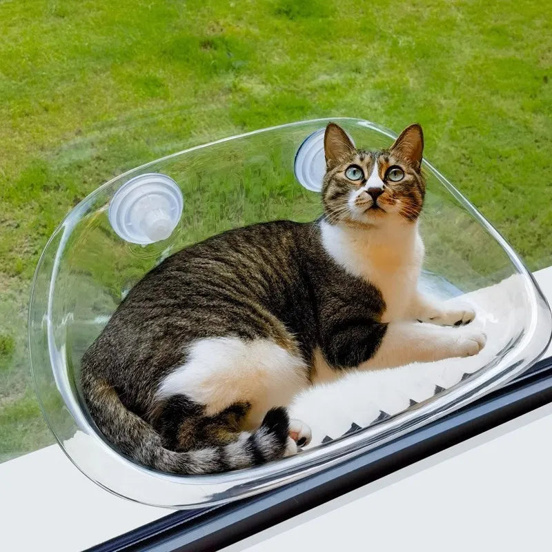 Huisdier Hangmat voor Katten met Verhoogd Uitzicht 0