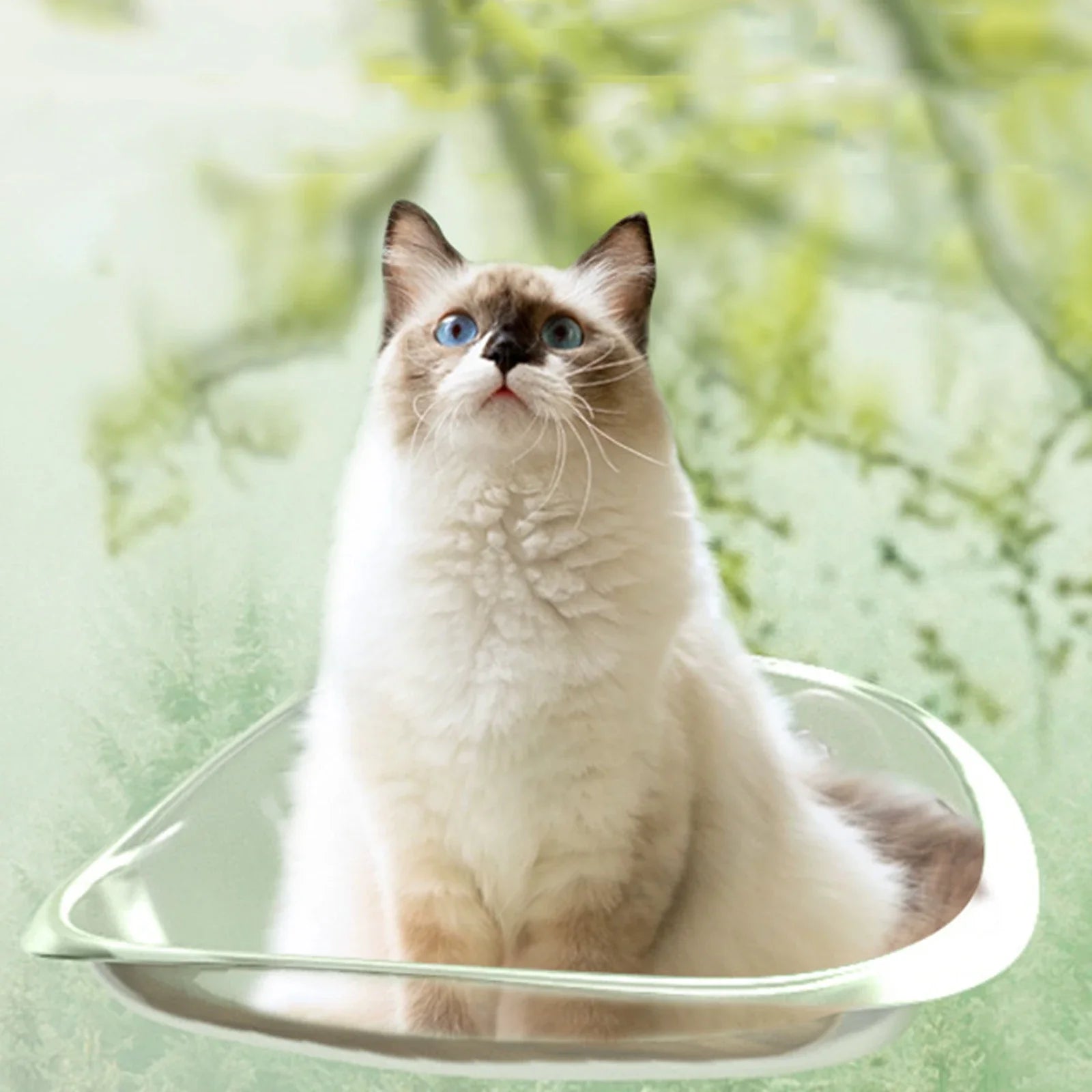 Huisdier Hangmat voor Katten met Verhoogd Uitzicht 1