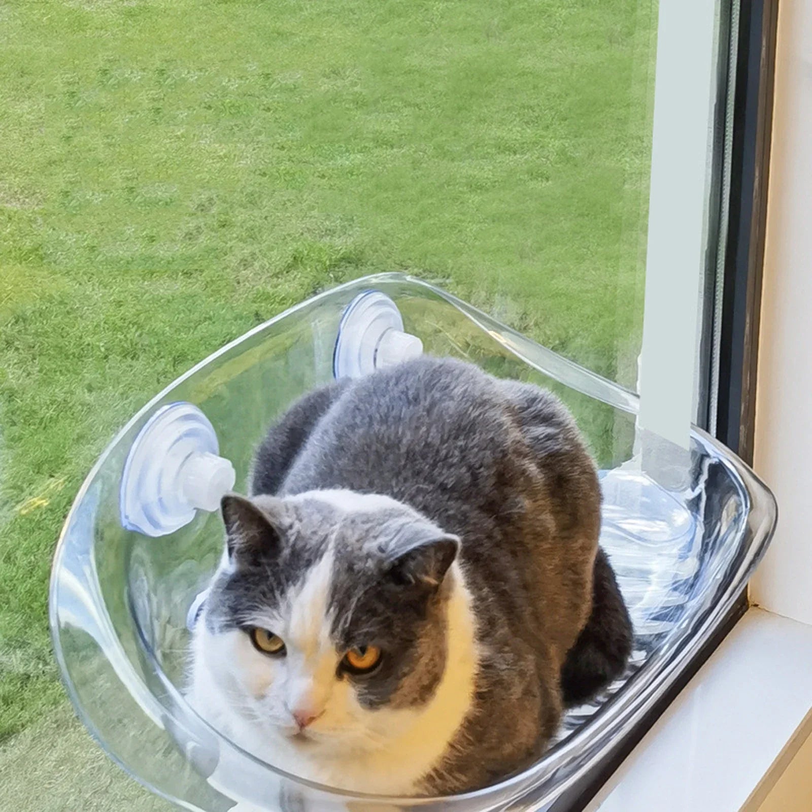 Huisdier Hangmat voor Katten met Verhoogd Uitzicht 3
