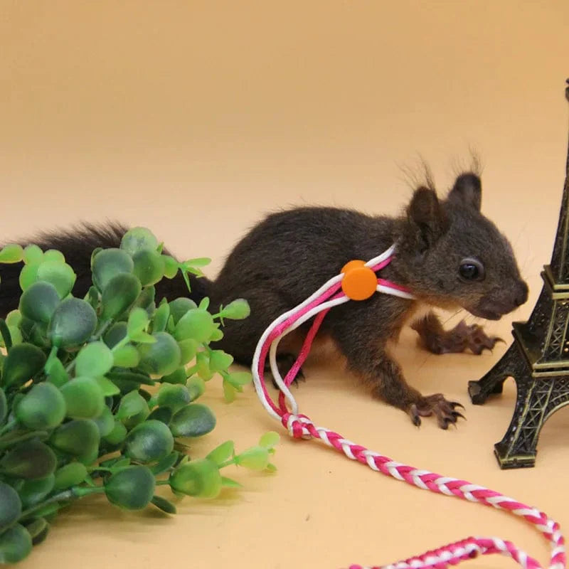 Huisdier Harnas voor Hamsters en Kleine Dieren Verstelbaar 2