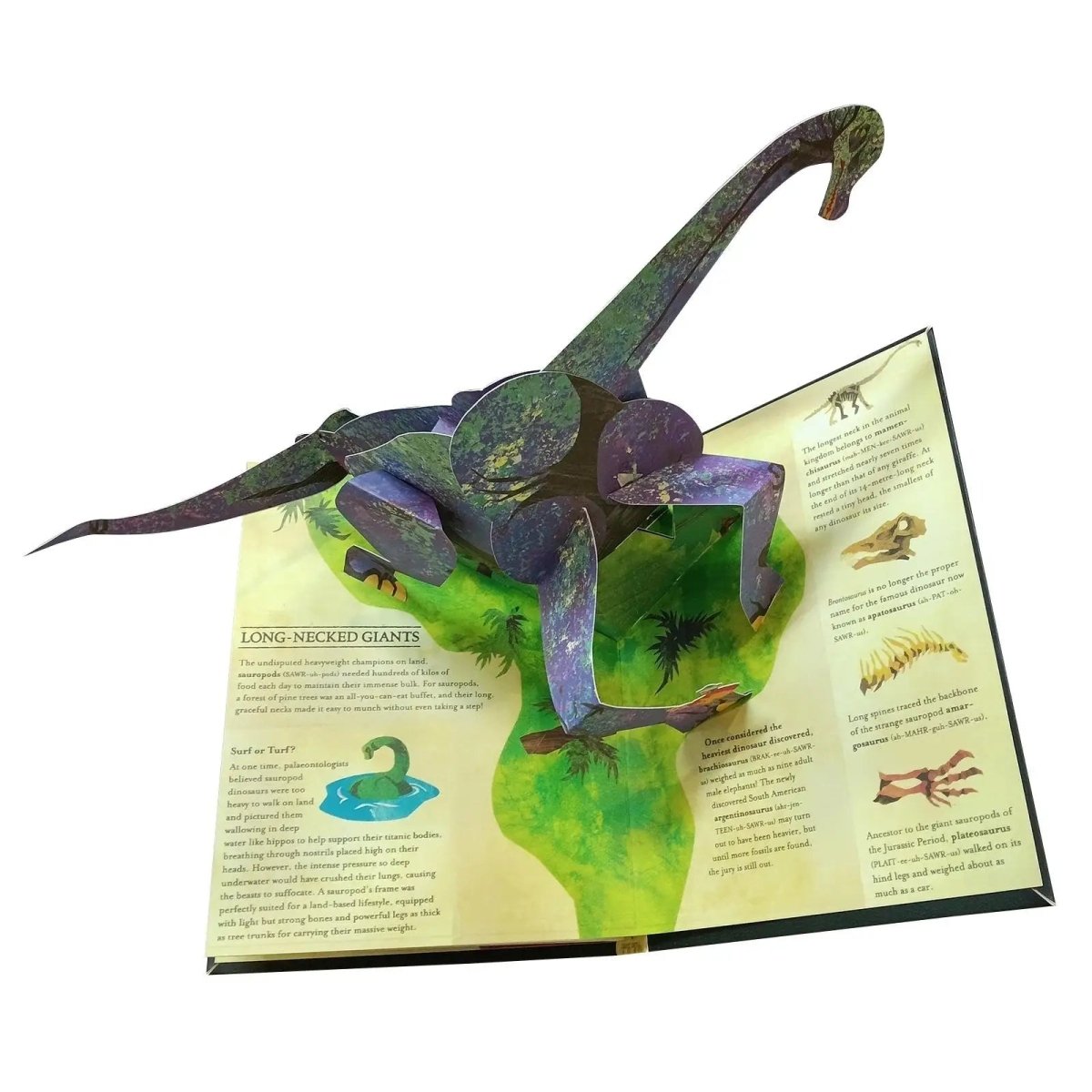 Interactief 3D Dinosaurussen Ontdekkingsboek 5