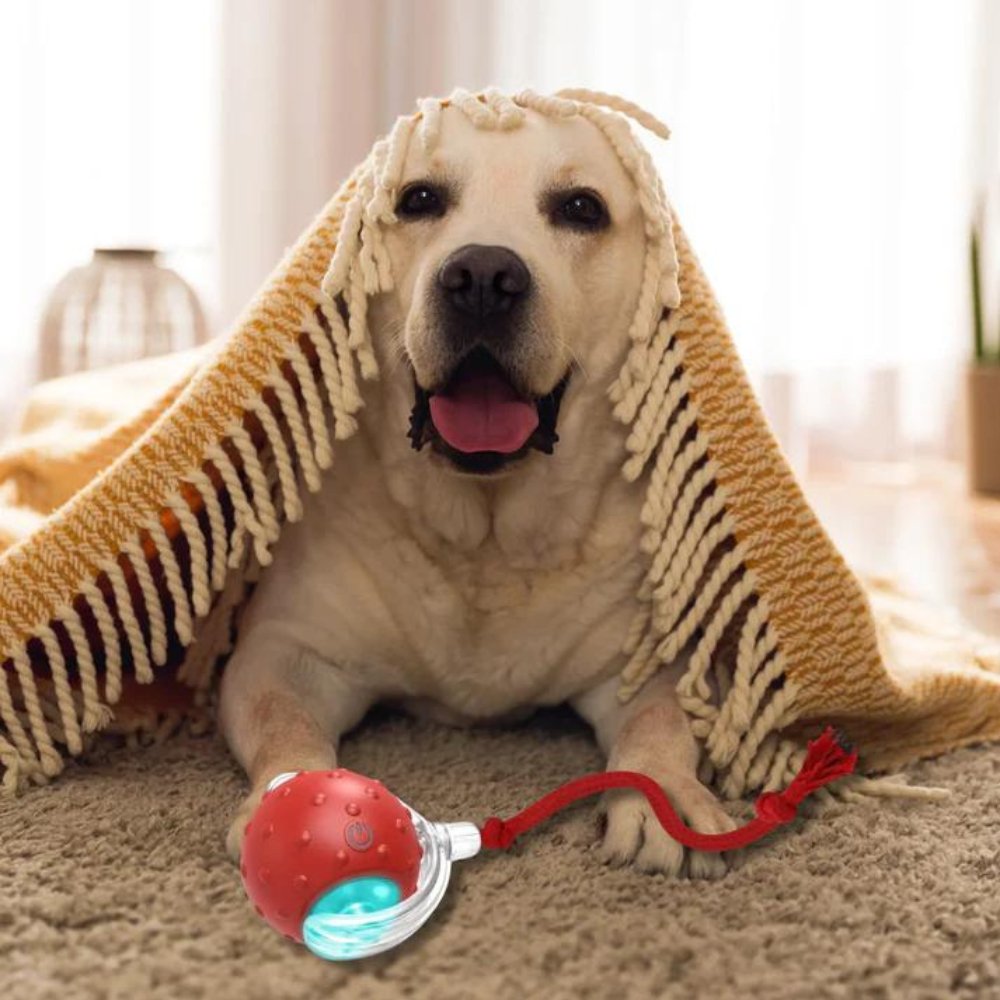 Interactief Hondenspeelgoed Rollende Bal voor Actieve Honden 4