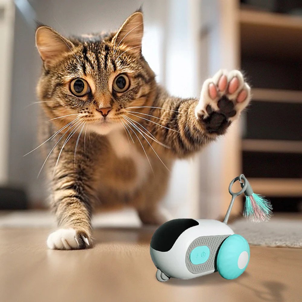 Interactief Speelgoed voor Katten TurboChase 0