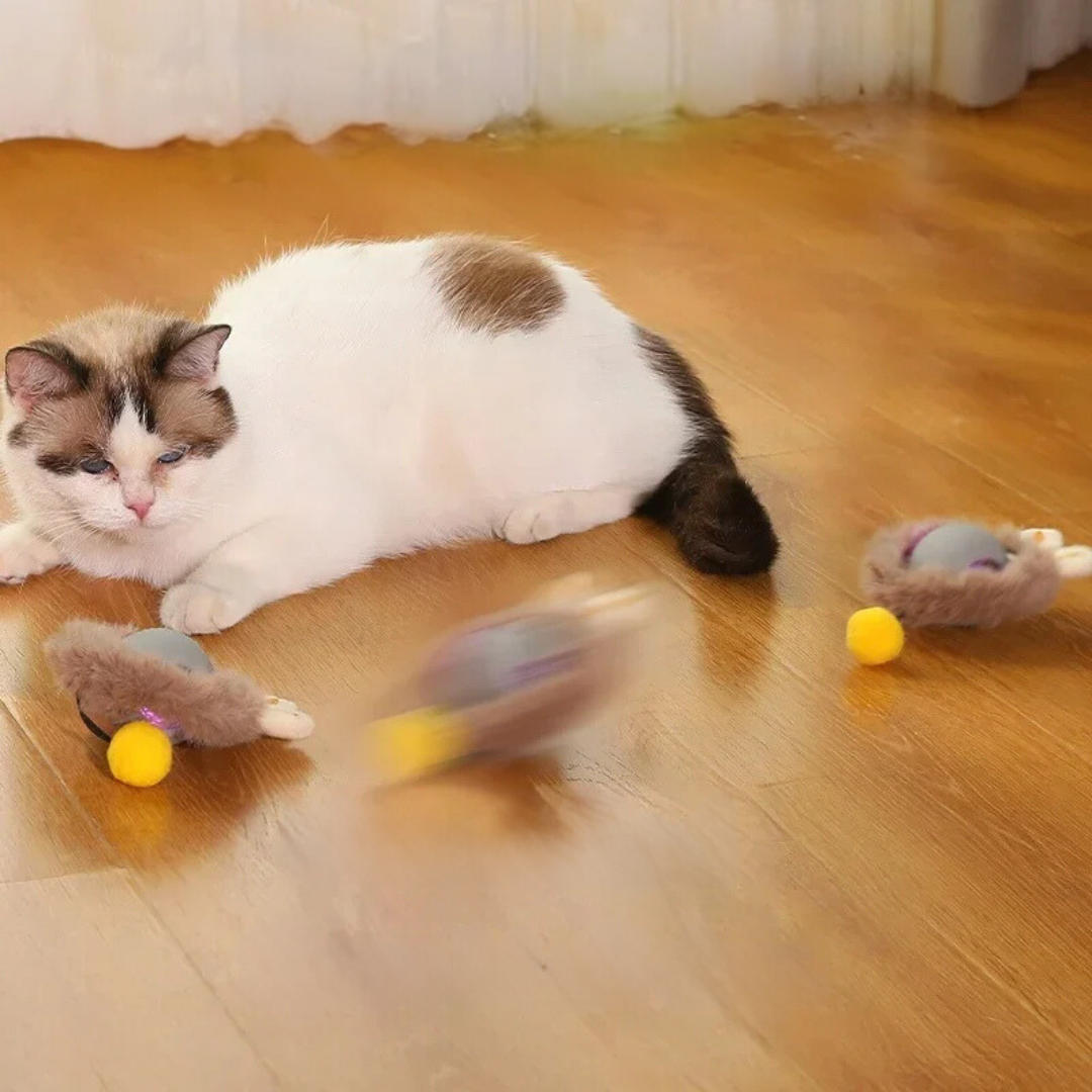 Interactieve Speelbal voor Katten 2