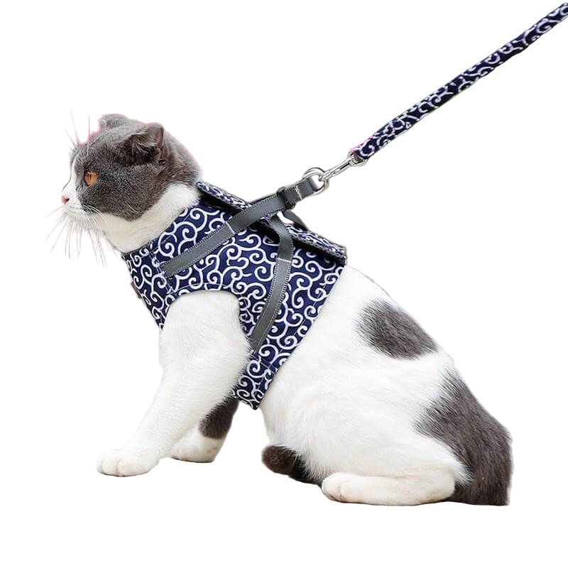 Katten Harnas Voor Buitenactiviteiten Ademend Met Verstelbare Riemen