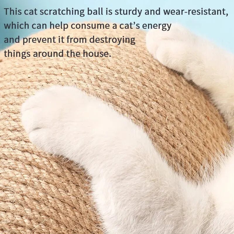 Katten Klauwen Speelgoed Driehoekig Design 2