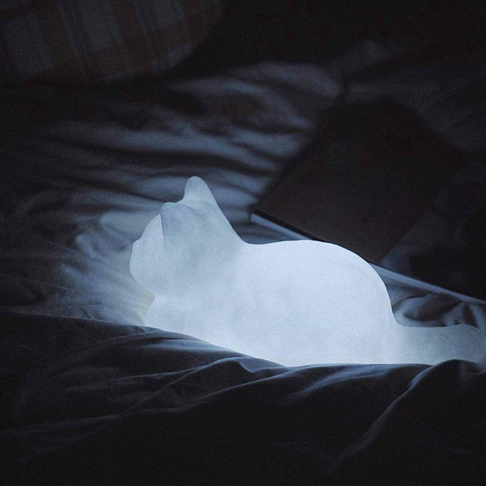 Katten Nachtlampje Dromerig Design Draadloos 4