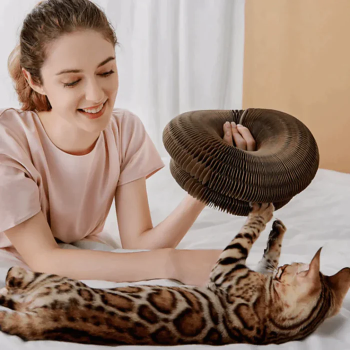 Katten Speelgoed Activiteitenspeelgoed 0