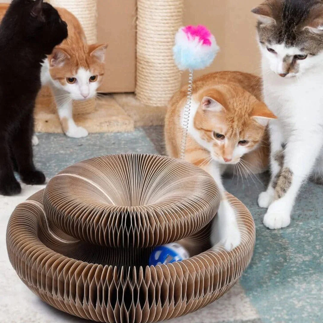 Katten Speelgoed Activiteitenspeelgoed 1