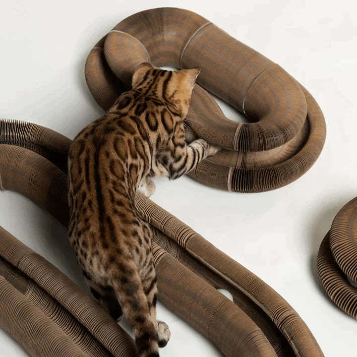 Katten Speelgoed Activiteitenspeelgoed 3