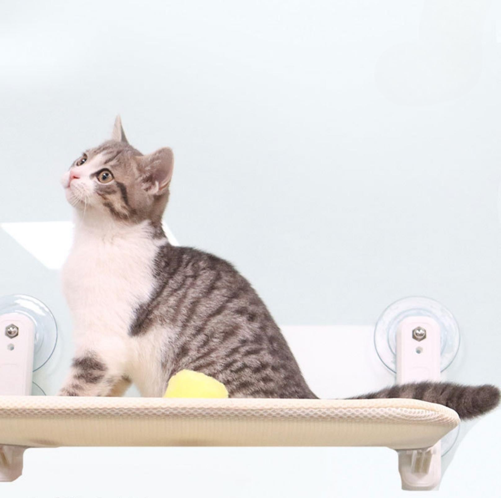 Kattenhangmat voor Raam met Ruimtebesparend Ontwerp 4