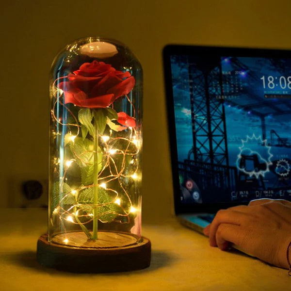 LED Eeuwige Roos 4