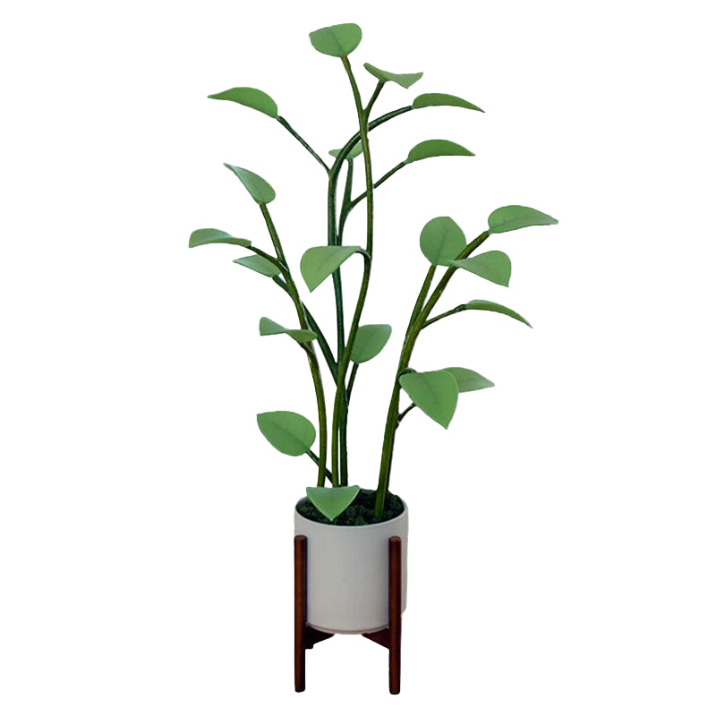 LED Plant Lamp Met Kleurovergang Decoratief Design 0