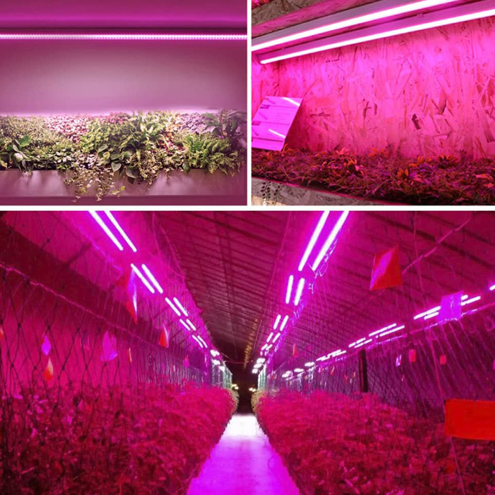 LED Plantenlamp Volledig Spectrum met Trekschakelaar 3