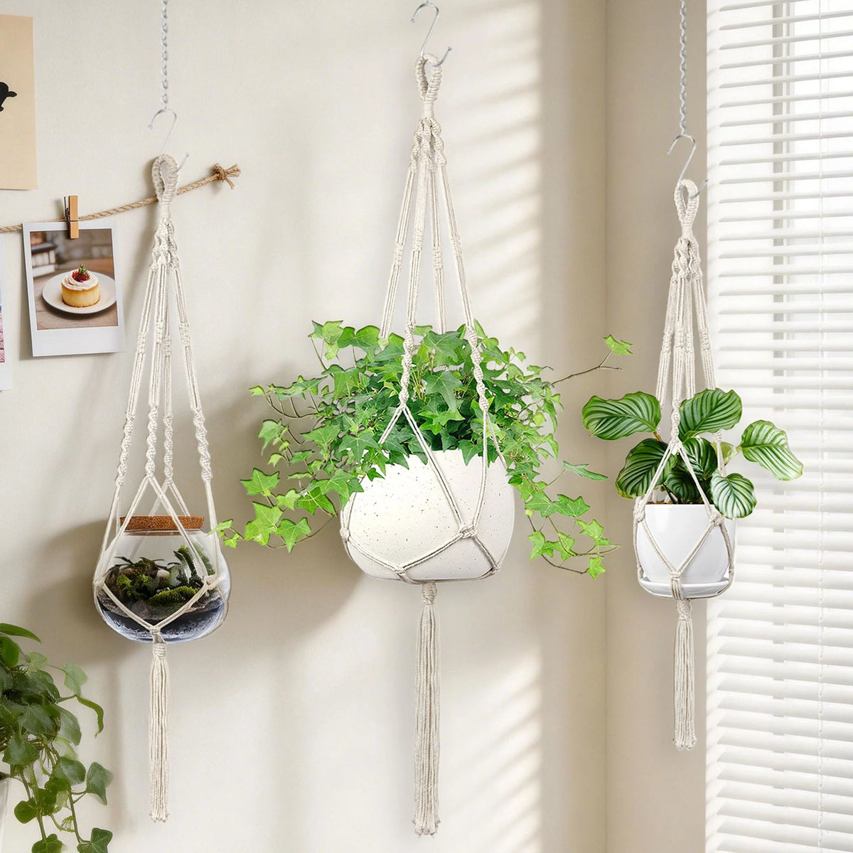 Macramé Plantenhanger Handgemaakt voor Binnen en Buiten 0