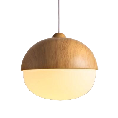 Moderne Hanglamp met Natuurlijke Houten Accenten 0