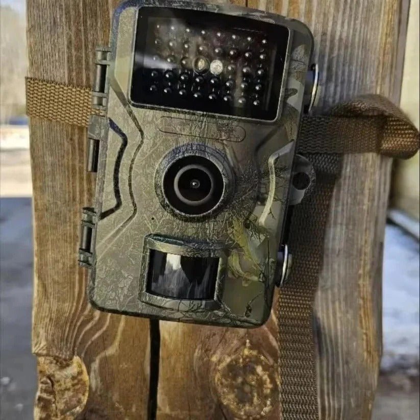Nachtzicht Wildcamera 12 MP met HD-video 2