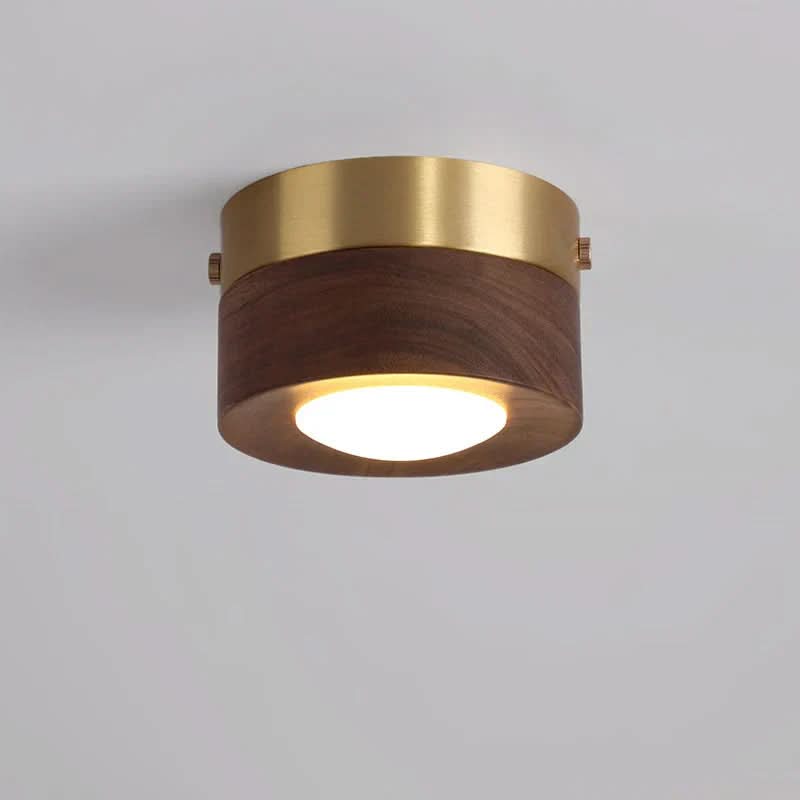 Plafondlamp voor Woonkamer met Natuurlijke Charm 1