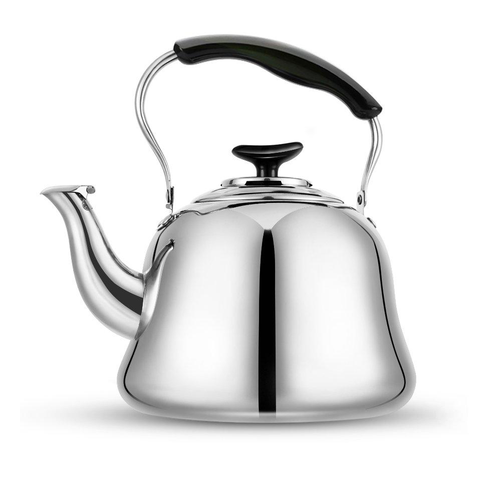 RVS Fluitende Theepot voor Kachel 0
