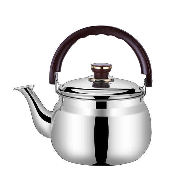 RVS Waterkoker Dikwandige Fluitpot 0