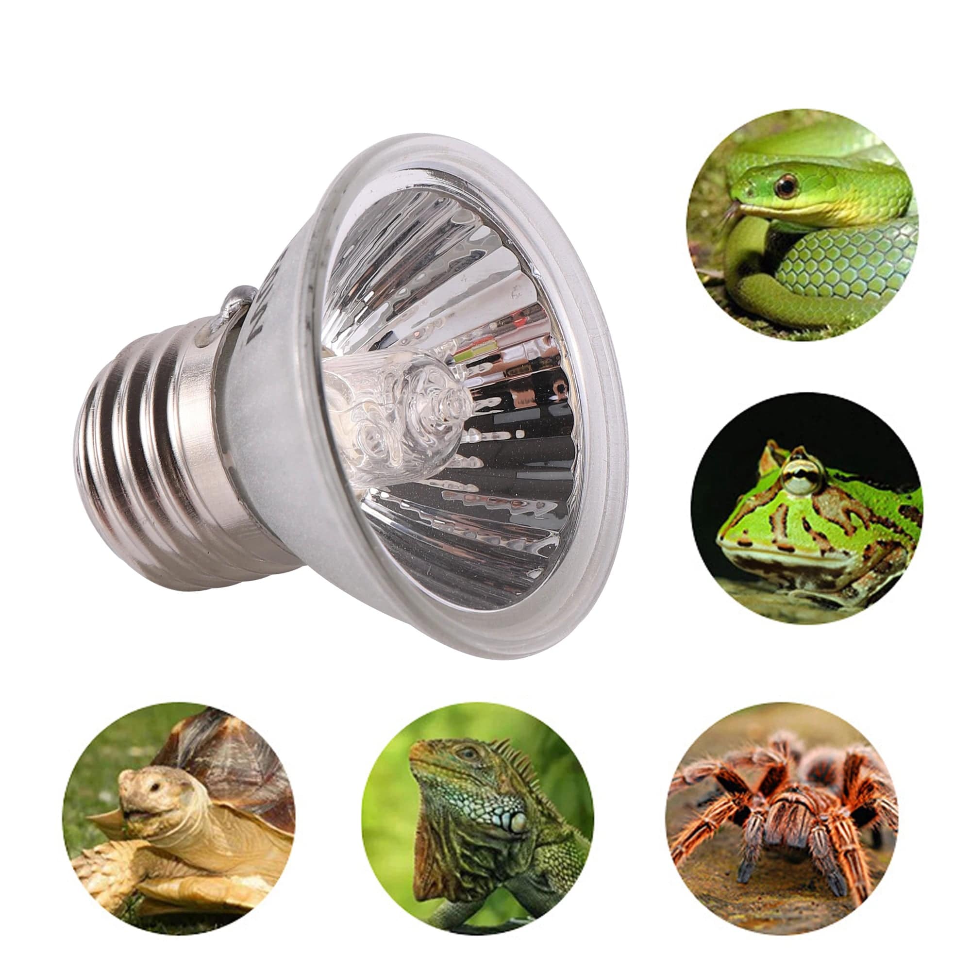 Reptielen Lamp UVA + UVB voor Huisdieren met Verstelbare Lichtstraal 1