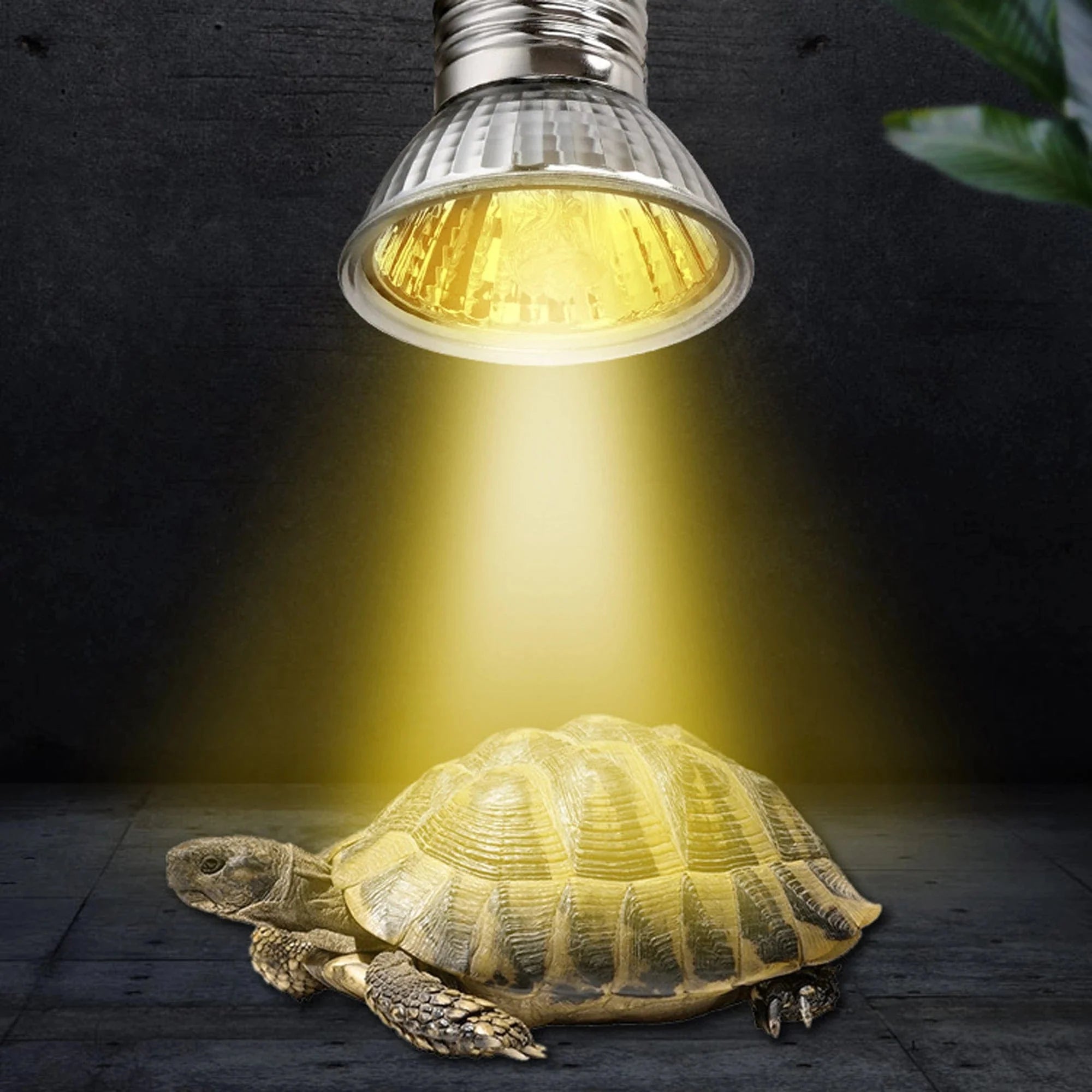 Reptielen Lamp UVA + UVB voor Huisdieren met Verstelbare Lichtstraal 5
