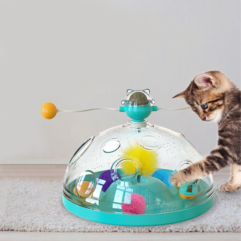 Cat's Interactieve Windmolen Speelgoed