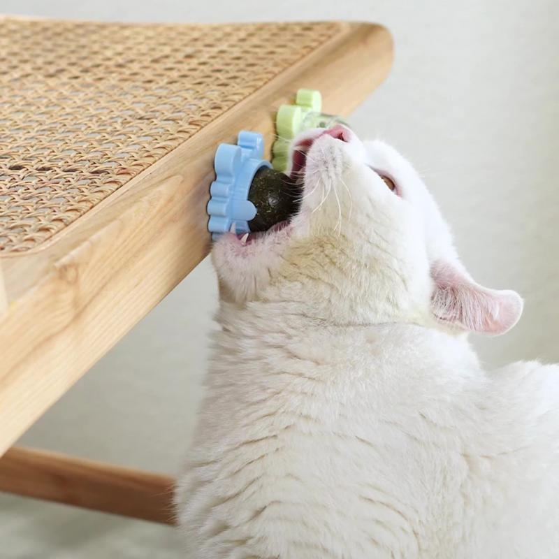 Kattenkruid Roterende Molaar Speelgoed