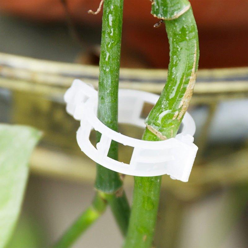 Tuinaccessoires Stangstabilisatoren voor Klimplanten 2