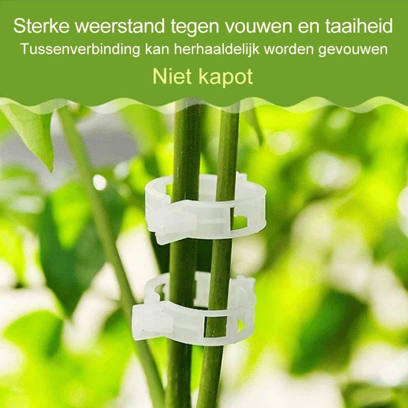 Tuinaccessoires Stangstabilisatoren voor Klimplanten 3
