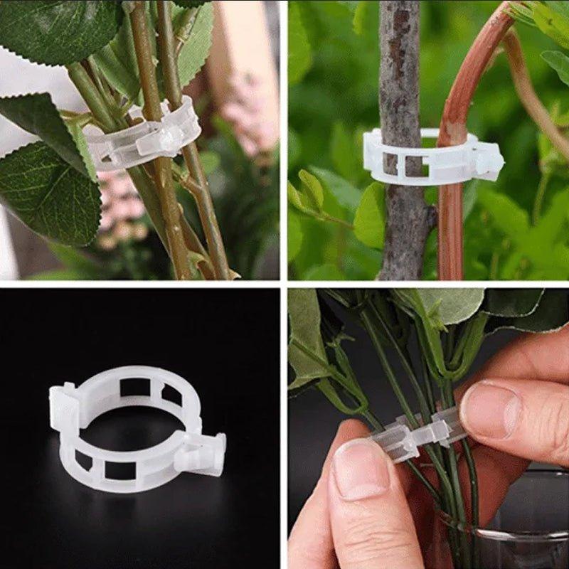 Tuinaccessoires Stangstabilisatoren voor Klimplanten 4