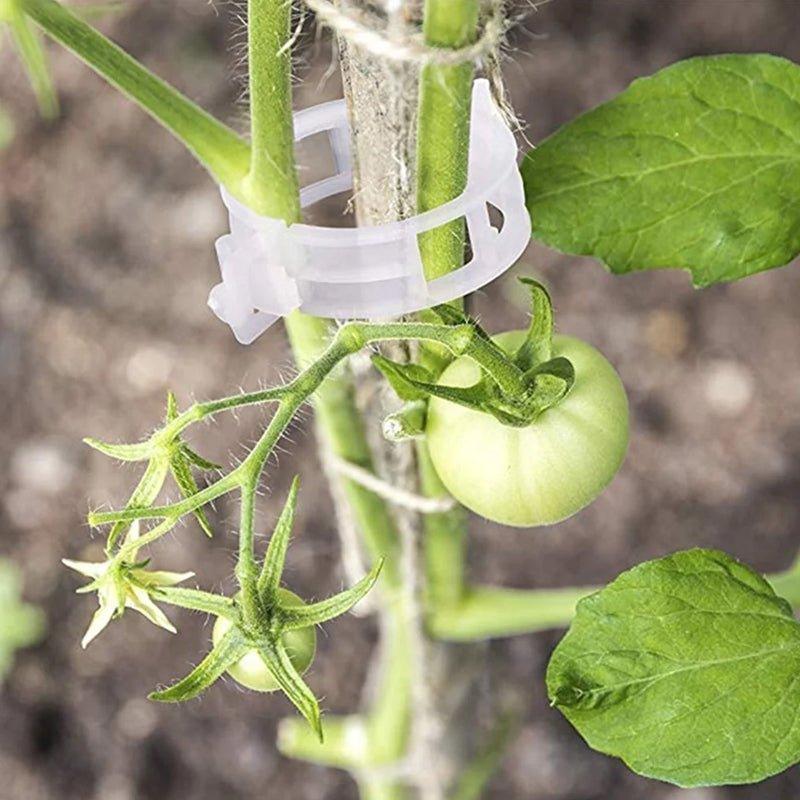 Tuinaccessoires Stangstabilisatoren voor Klimplanten 7