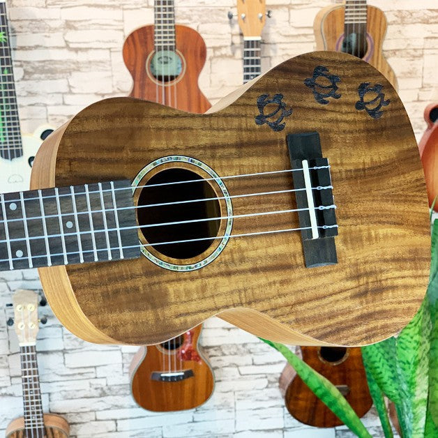 Unisex Ukelele Compact Model 23 Inch Exotisch Design 1