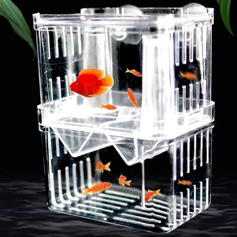 Viskweekbox Dubbellaags Transparant voor Aquaria 1