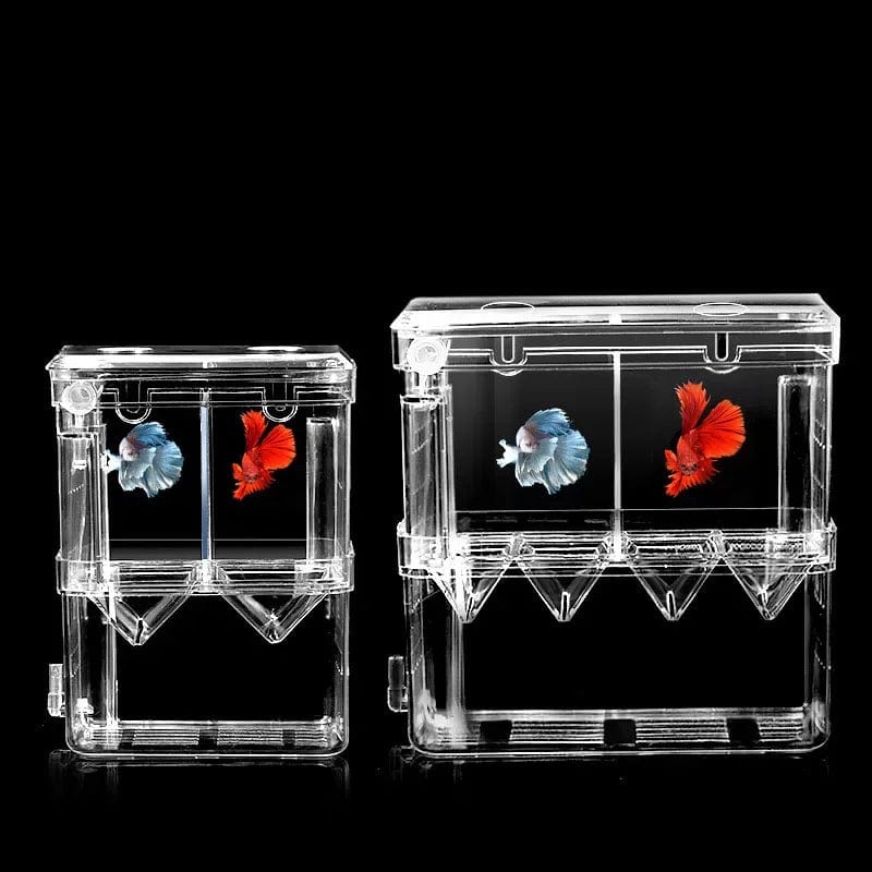 Viskweekbox Dubbellaags Transparant voor Aquaria 3
