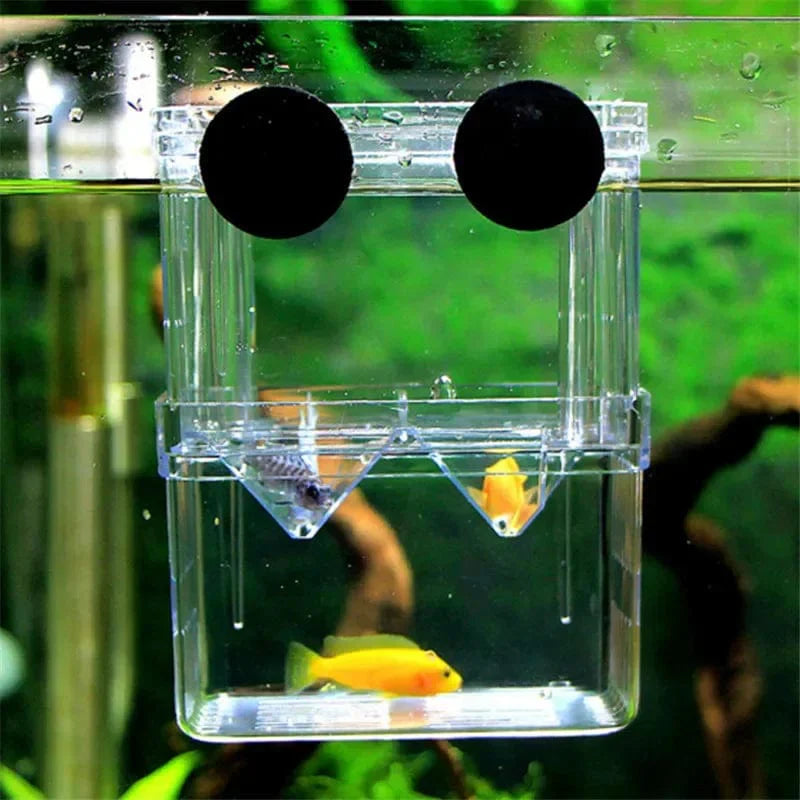 Viskweekbox Dubbellaags Transparant voor Aquaria 4