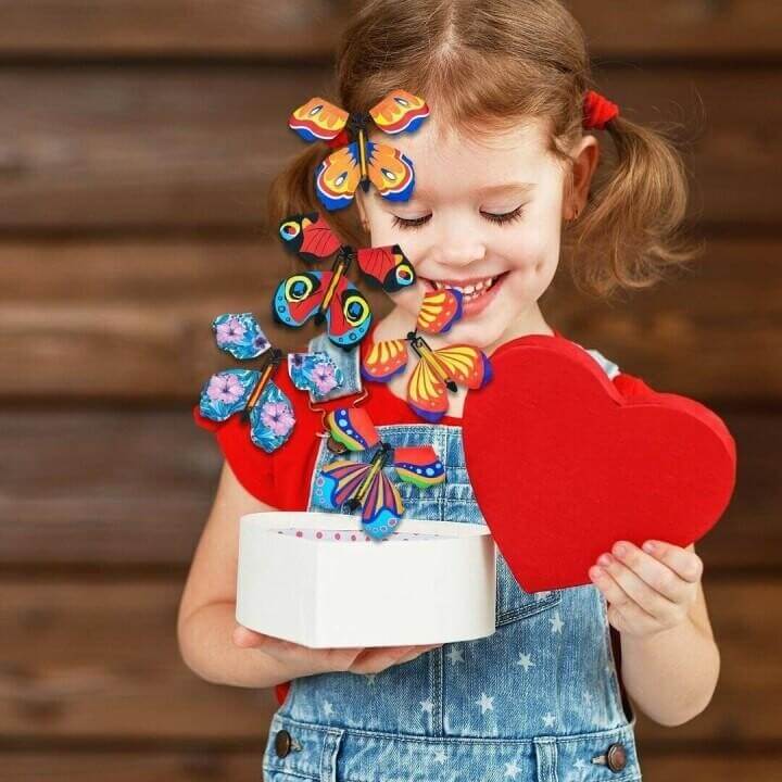 Vliegende Vlinders Cadeau Set 3