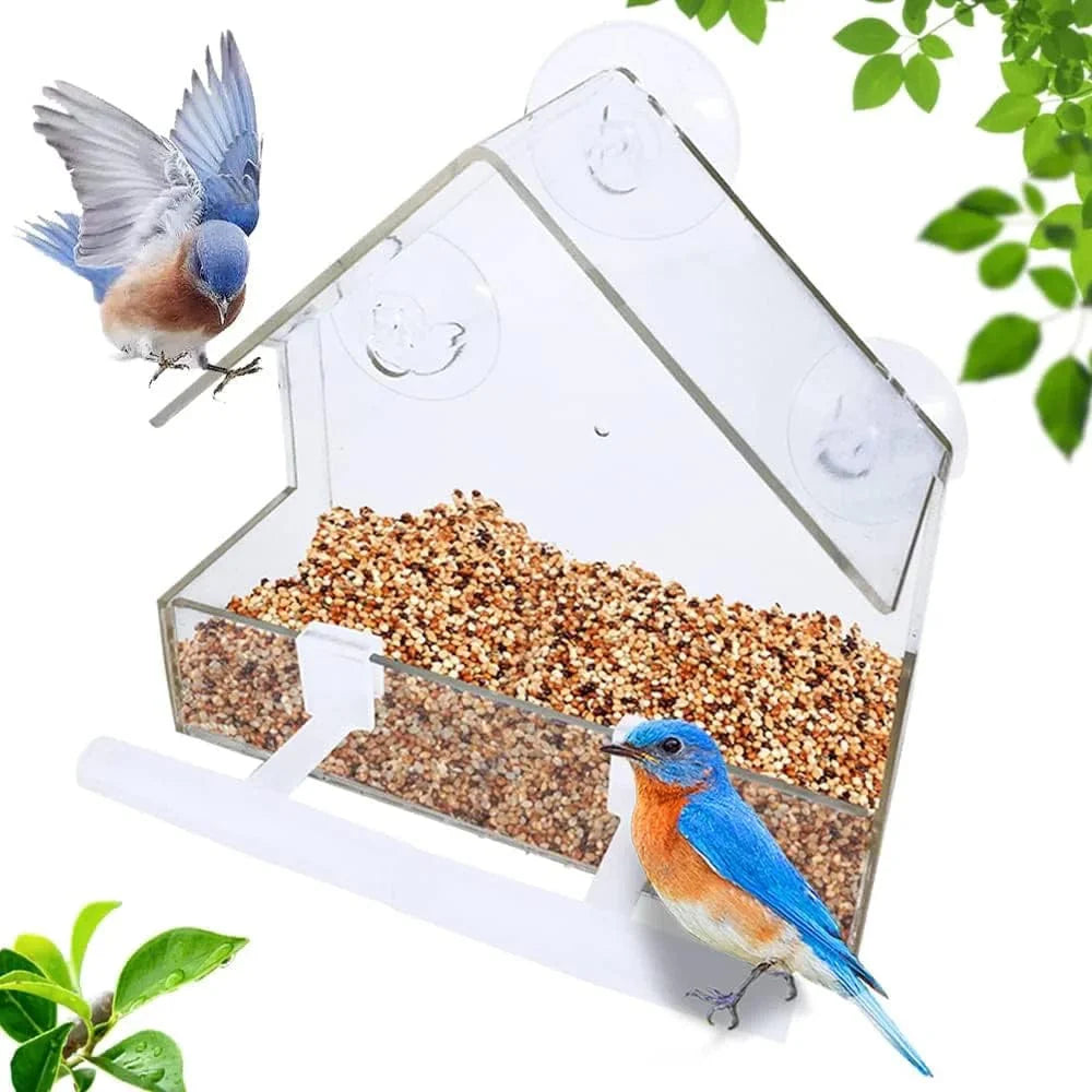 Vogelvoederhuis voor Raam met Zuignappen en Afneembare Kom 5