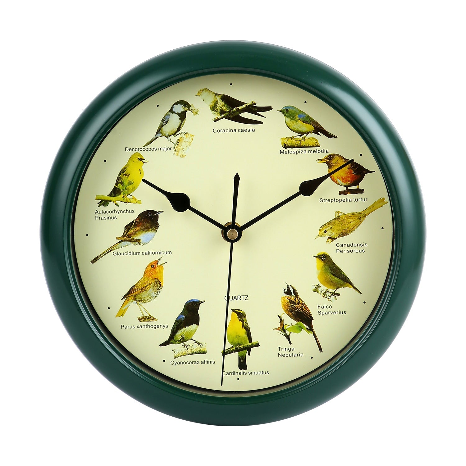 Wandklok met kleurrijk vogelmotief voor interieurdecoratie 0